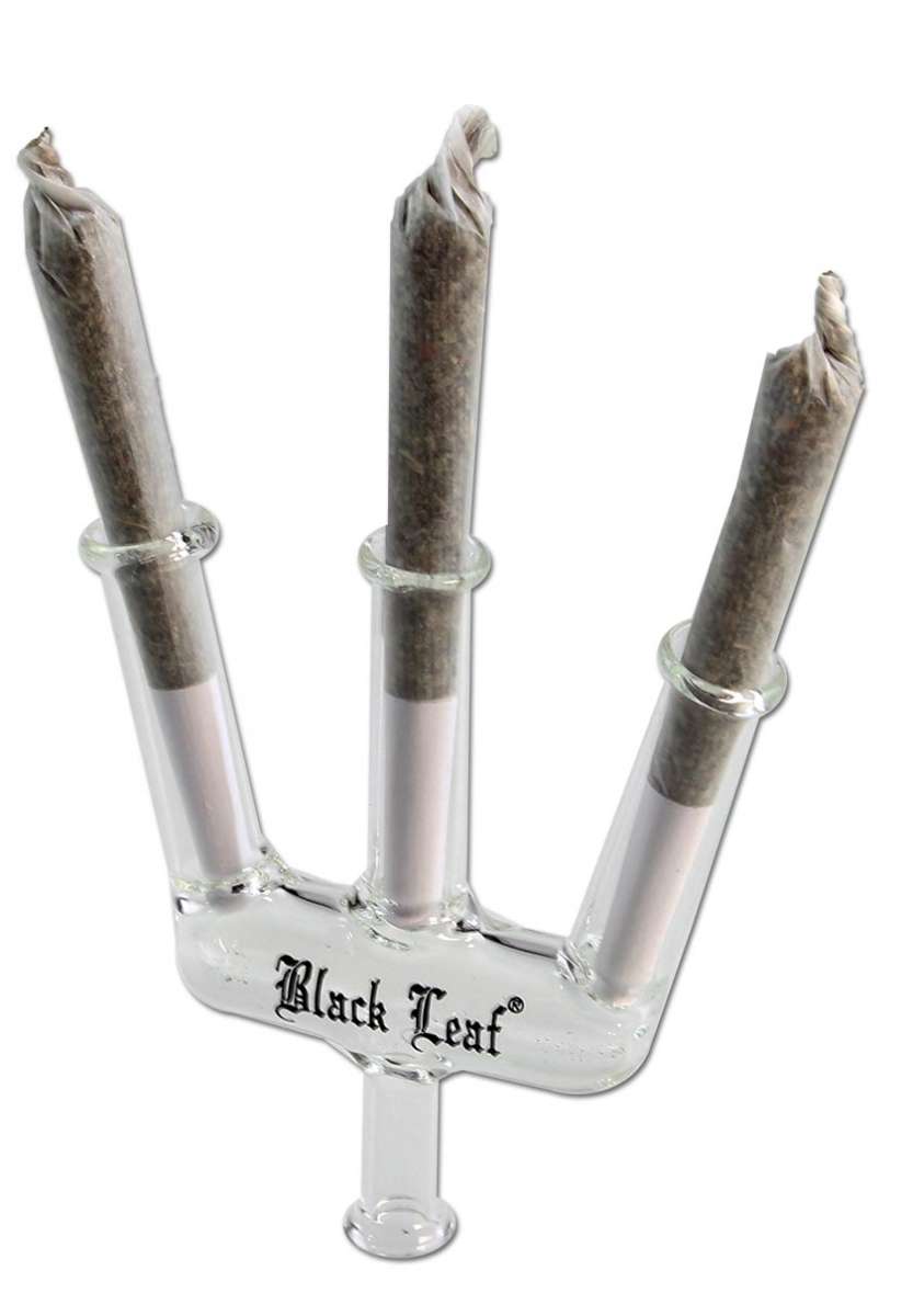 Joint Holder in vetro Trident per filtri a carboni attivi - Black Leaf