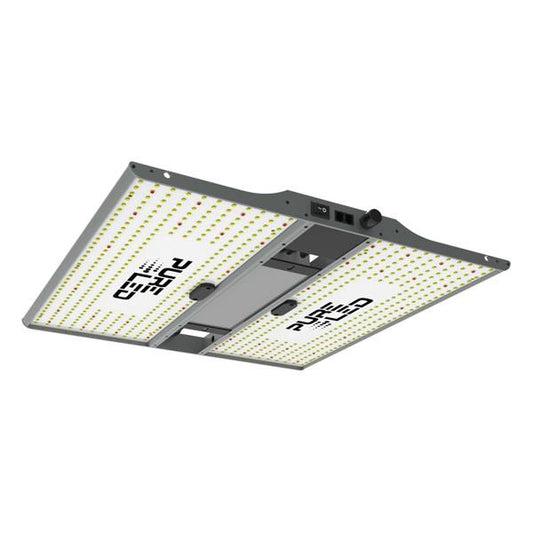 Pure Led Q240 v2.0
