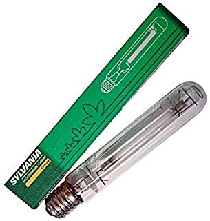 GROLUX 600W - SYLVANIA