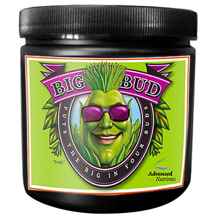 Big Bud Polvere 4L - Advanced Nutrients