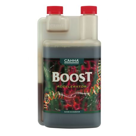 Boost Accelerator - Canna