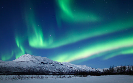 Il mistero della Northern Light