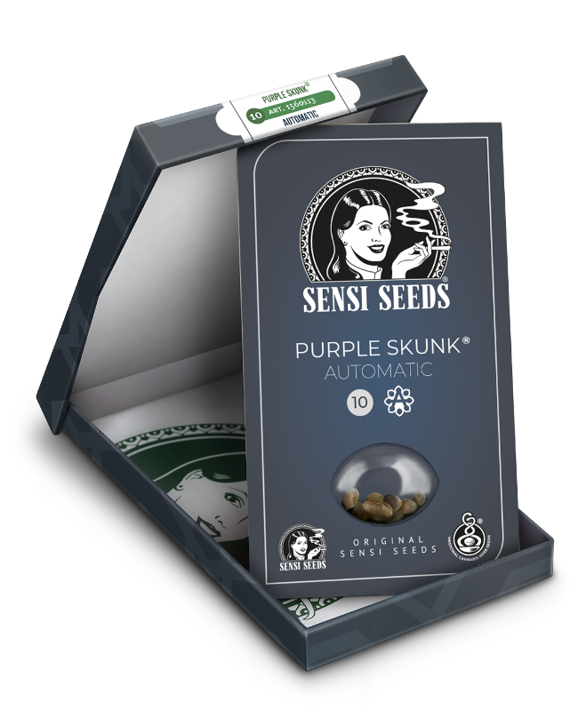 Purple Skunk auto - Sensi Seeds