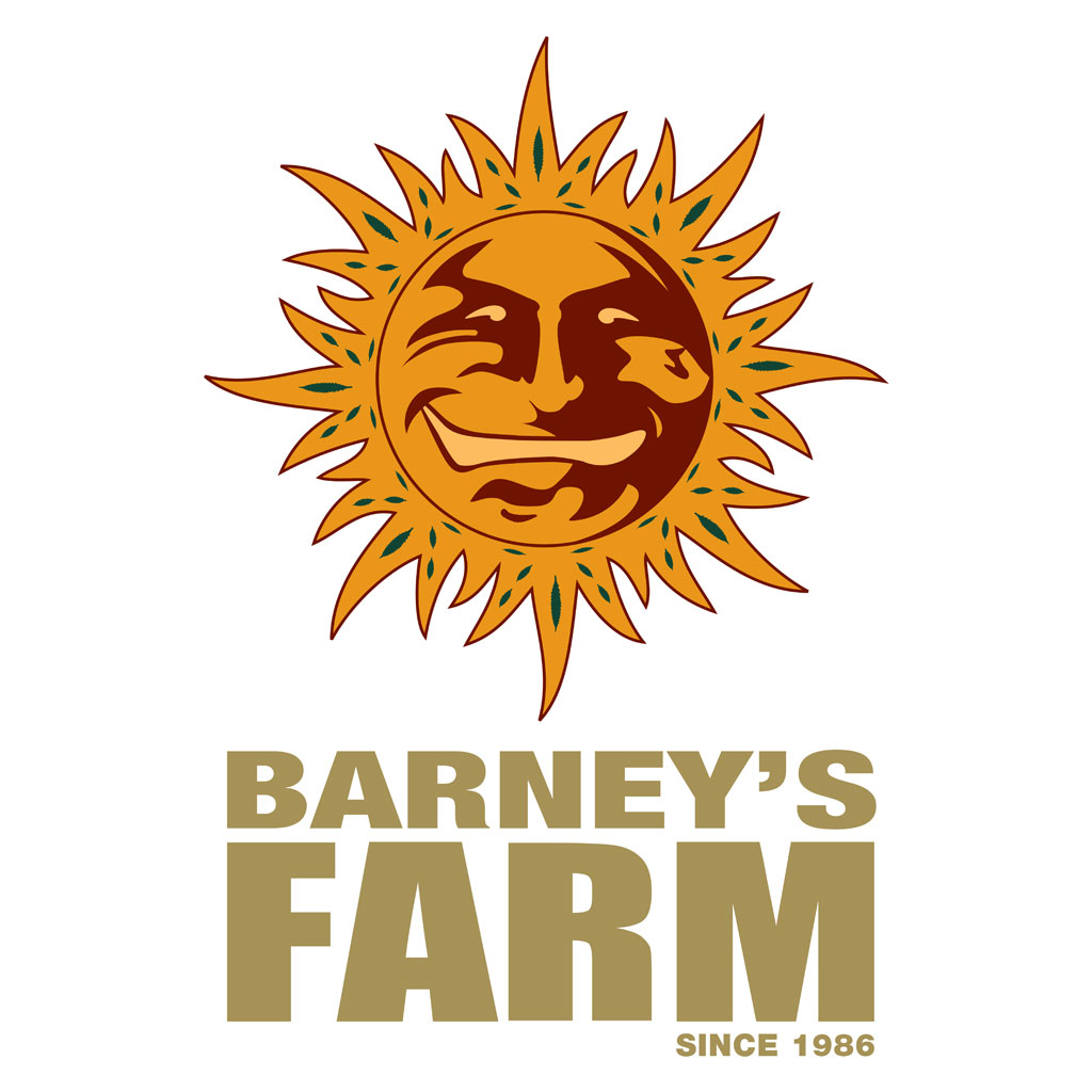 BLUEBERRY O.G. - BARNEY'S FARM