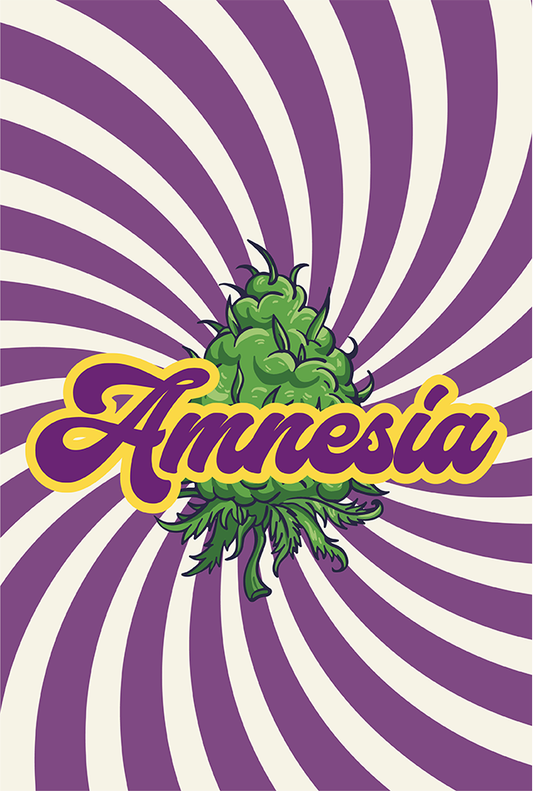 Amnesia CBD - NxS