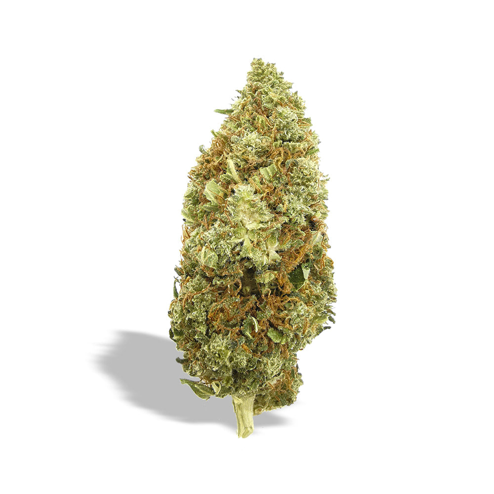 infiorescenze-cannabis-CBD-legale-marijuana-light-erba-ganja-napoli-growshop-nxs