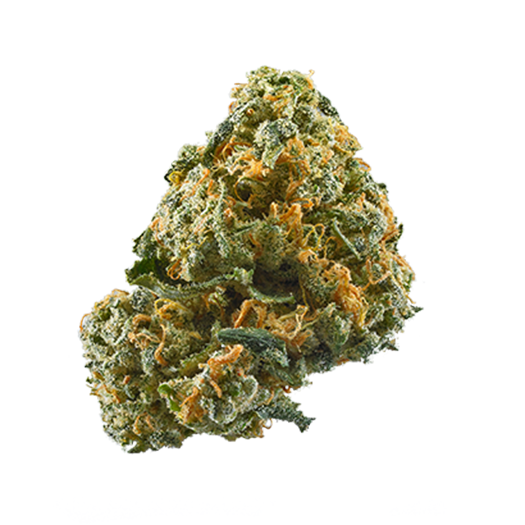 infiorescenze-cannabis-CBD-legale-marijuana-light-erba-ganja-napoli-growshop-nxs