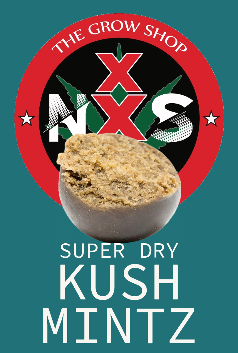 Dry Kush Mintz CBD - NxS