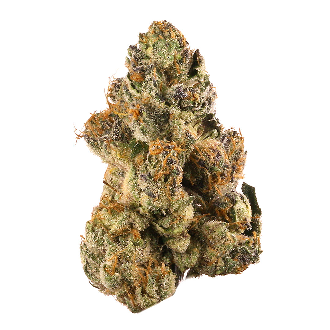 infiorescenze-cannabis-CBD-legale-marijuana-light-erba-ganja-napoli-growshop-nxs