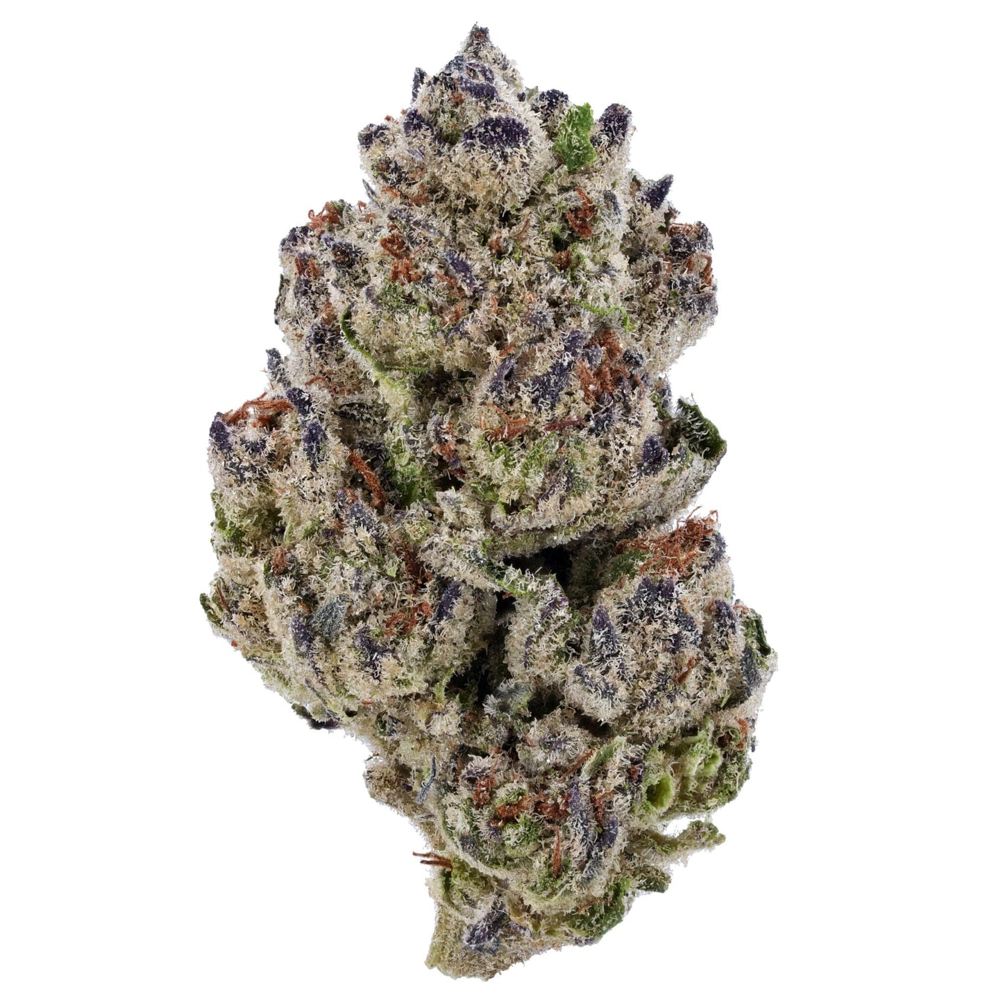 infiorescenze-cannabis-CBD-legale-marijuana-light-erba-ganja-napoli-growshop-nxs