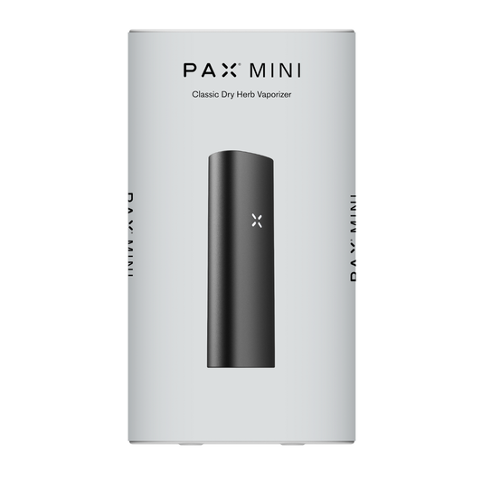 PAX Mini 2