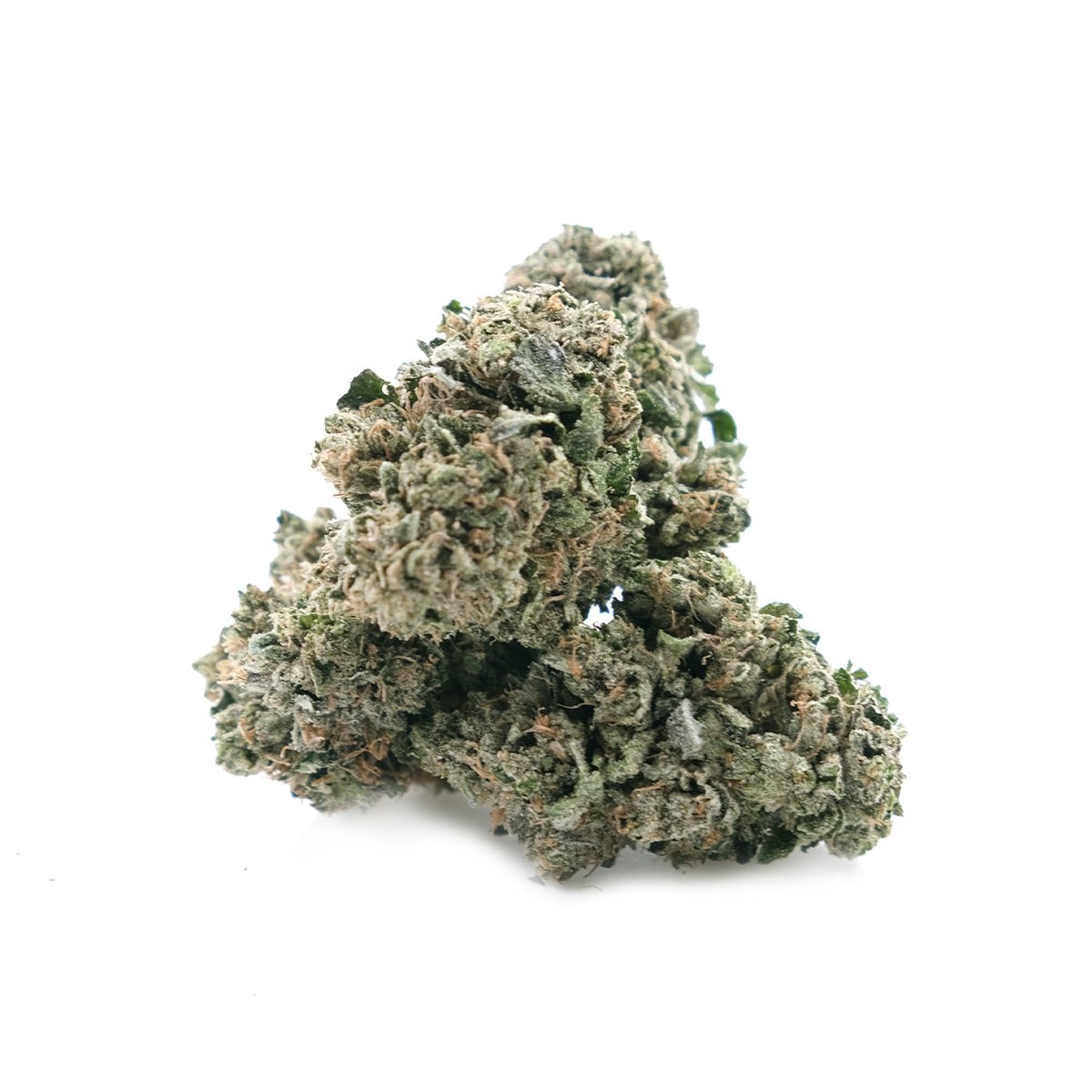 infiorescenze-cannabis-CBD-legale-marijuana-light-erba-ganja-napoli-growshop-nxs