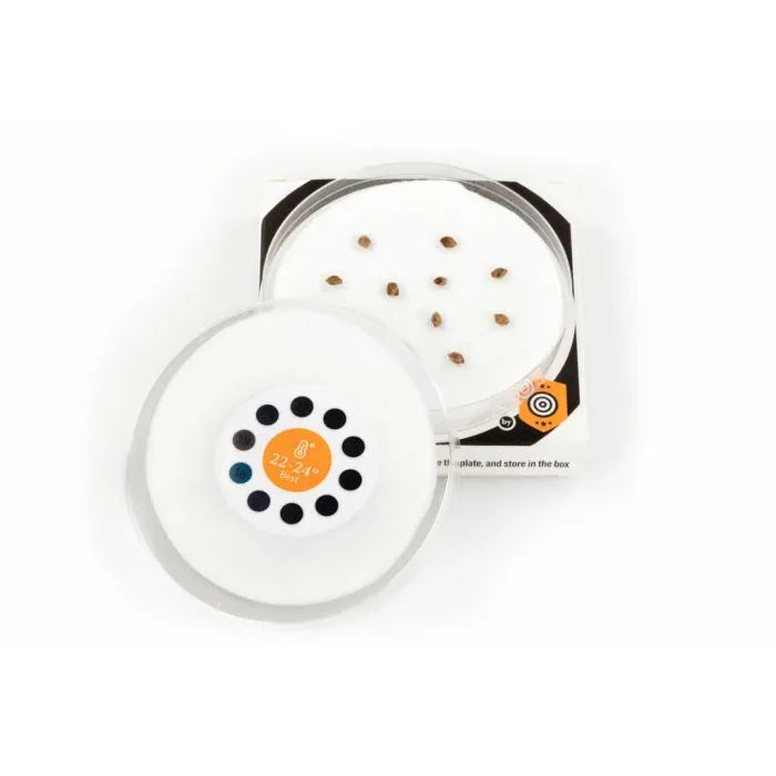 Sproutly – Germinatore intelligente - NxS GrowShop