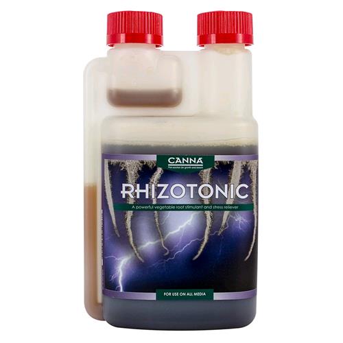 rhizotonic - canna