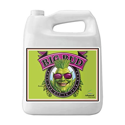 Big Bud - Advanced Nutrients