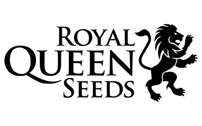 Mimosa fem - Royal Queen Seeds