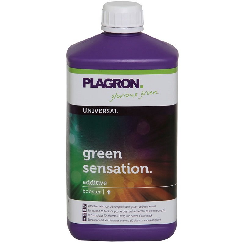 GREEN SENSATION - PLAGRON