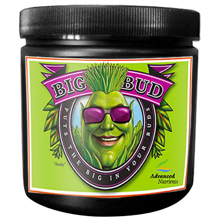 Big Bud Polvere 4L - Advanced Nutrients