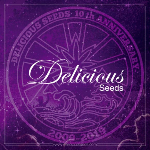 DELICIOUS CANDY regular - DELICIOUS SEEDS