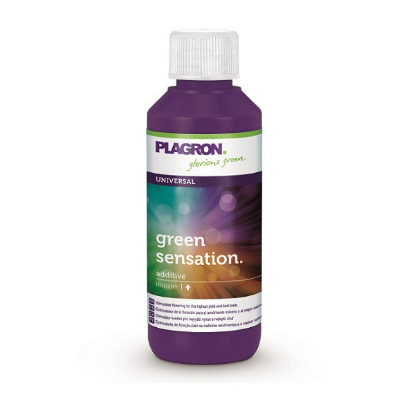 GREEN SENSATION - PLAGRON