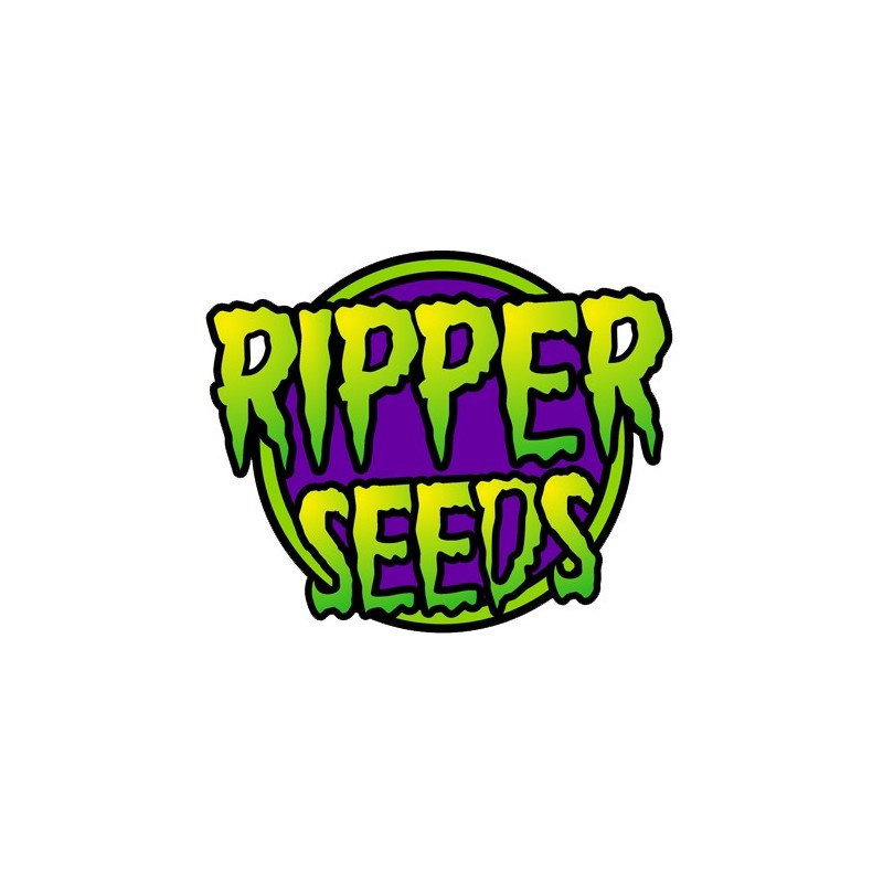 Brain Cake fem - Ripper Seeds