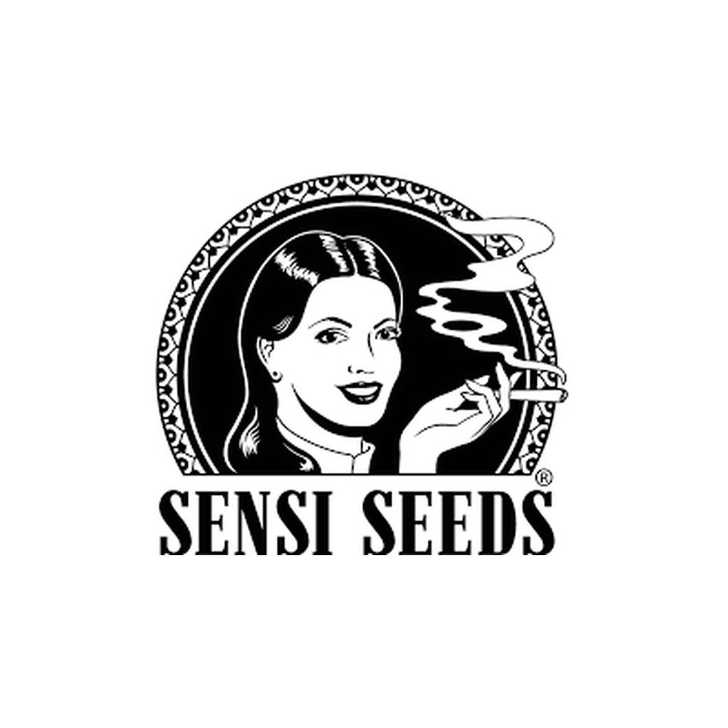 skunk #1 fem - sensi seeds